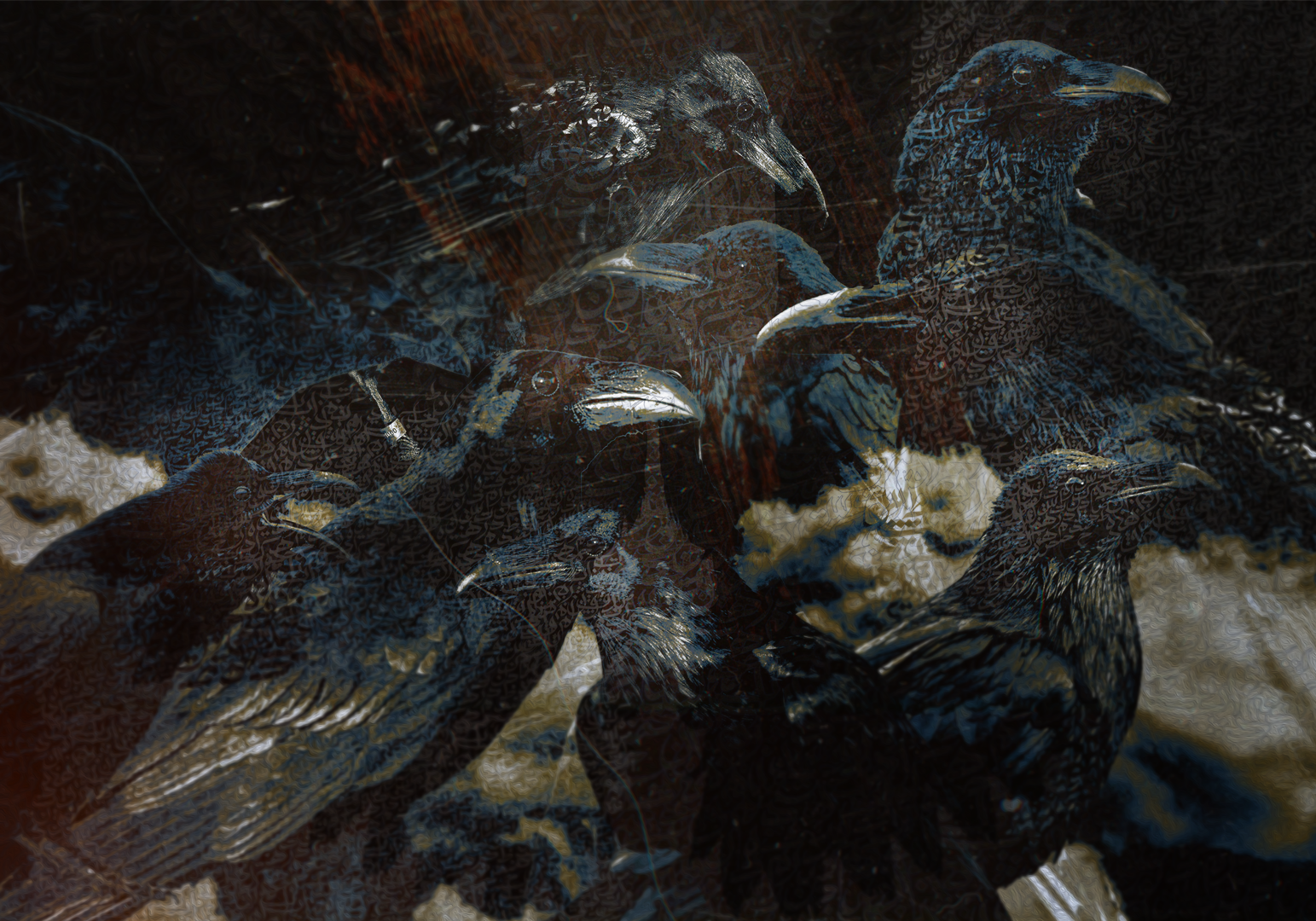 All Ravens